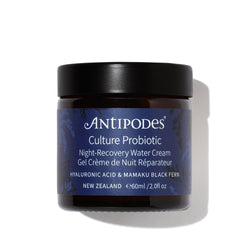 Culture Probiotic Night Recovery Water Cream
