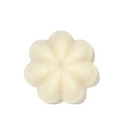 Gentle Solid Shampoo